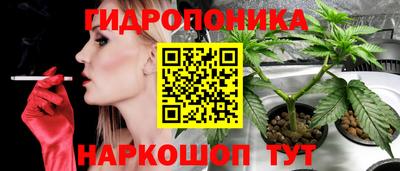 ALPHA PVP Краснознаменск