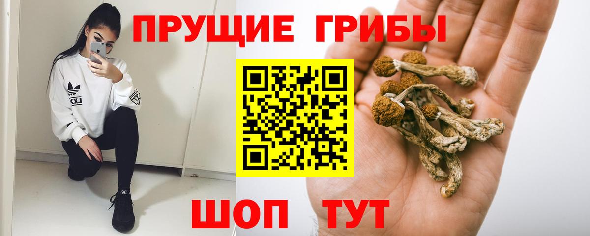 Галлюциногенные грибы ЛСД Егорьевск